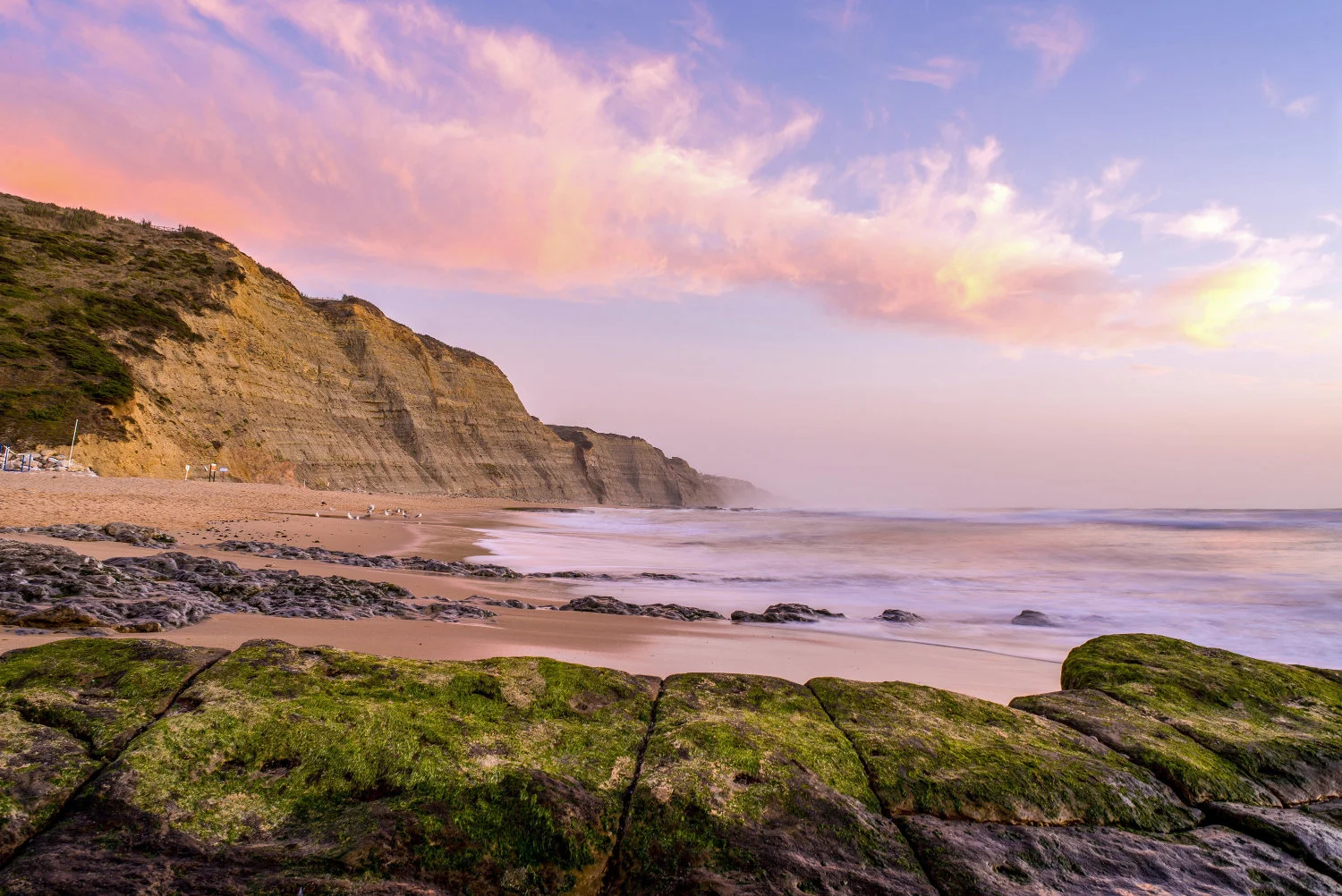 Unlock More Bookings: Digital Marketing for East Devon Bed and Breakfasts