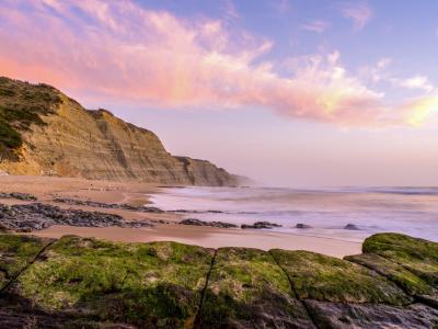 Unlock More Bookings: Digital Marketing for East Devon Bed and Breakfasts