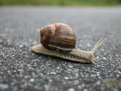 Website Speed: why it matters more than ever for SEO and UX
